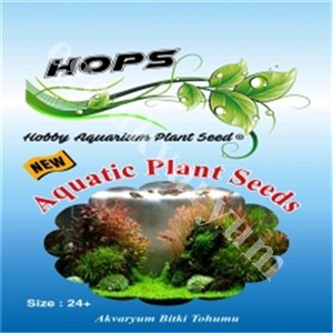 Aquatic Plant Seeds - Bitki Tohumu