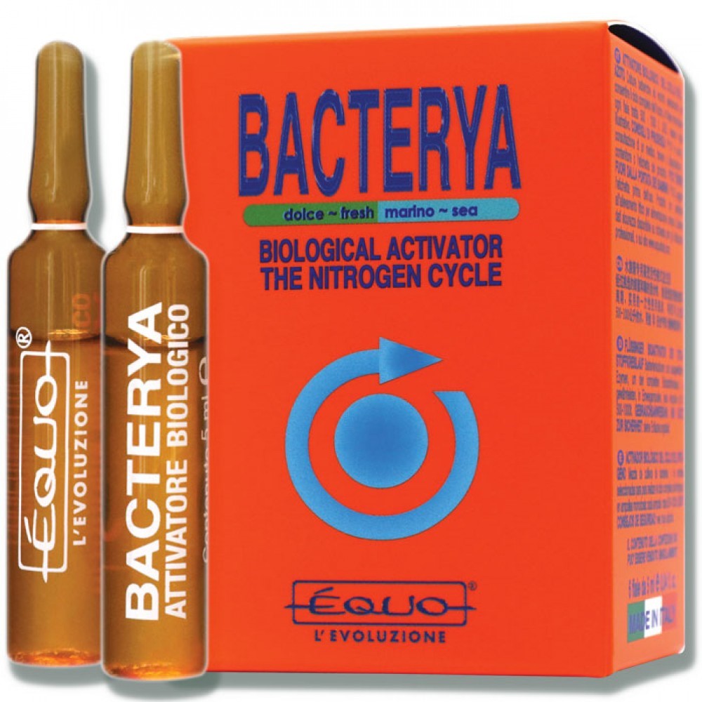 Equa Bacterya-12 