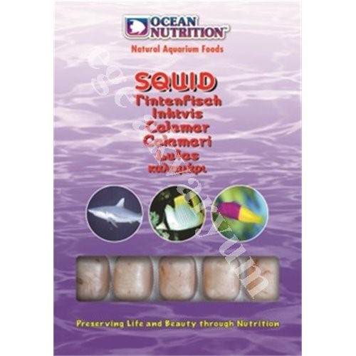 Ocean Nutrition Squid 35 Tablet 100 Gr 