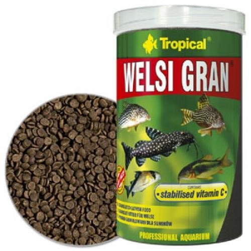 Tropical Welsi Gran 100gr (kovadan Bölme) 