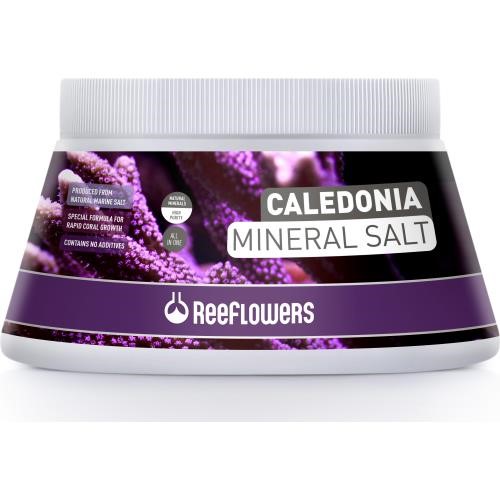 Reeflowers Caledonia Mineral Salt 5500ml 