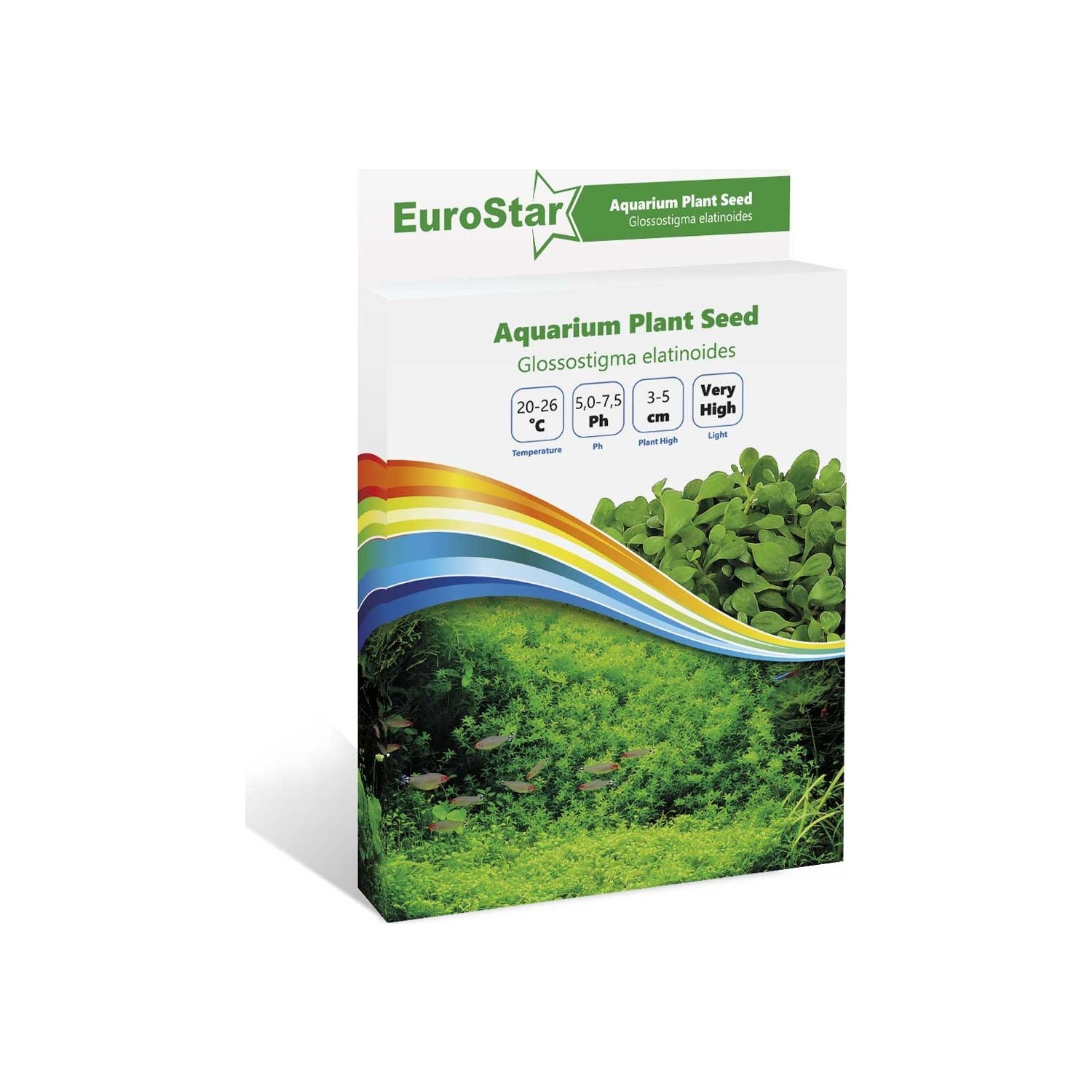 EuroStar Bitki Tohum Glossostigma Elatinoides 