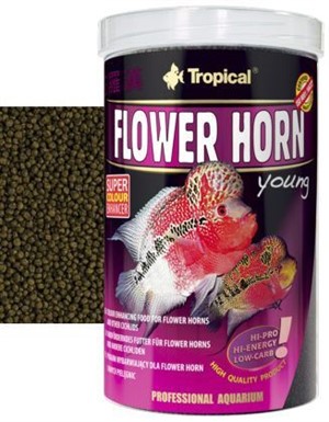 Tropical Flower Horn Young 50gr (Kovadan Bölme)